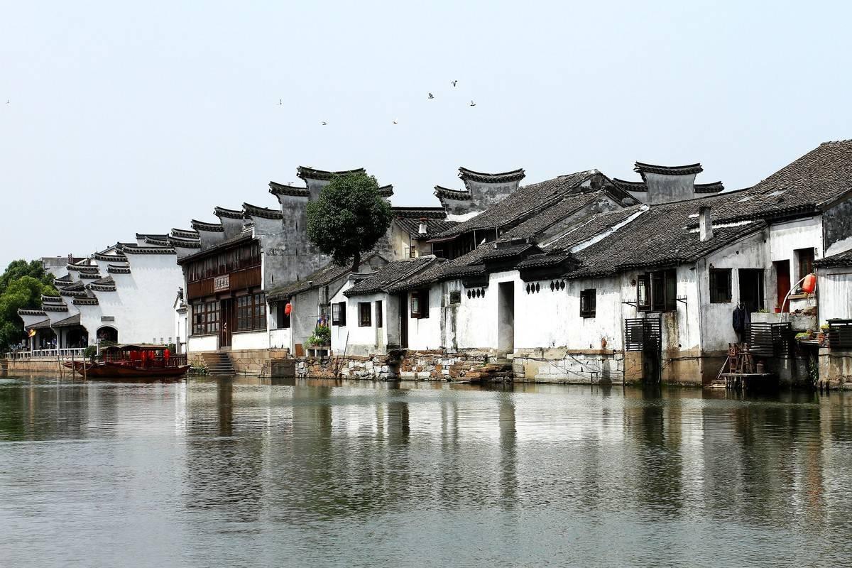 救援淘气的小狗